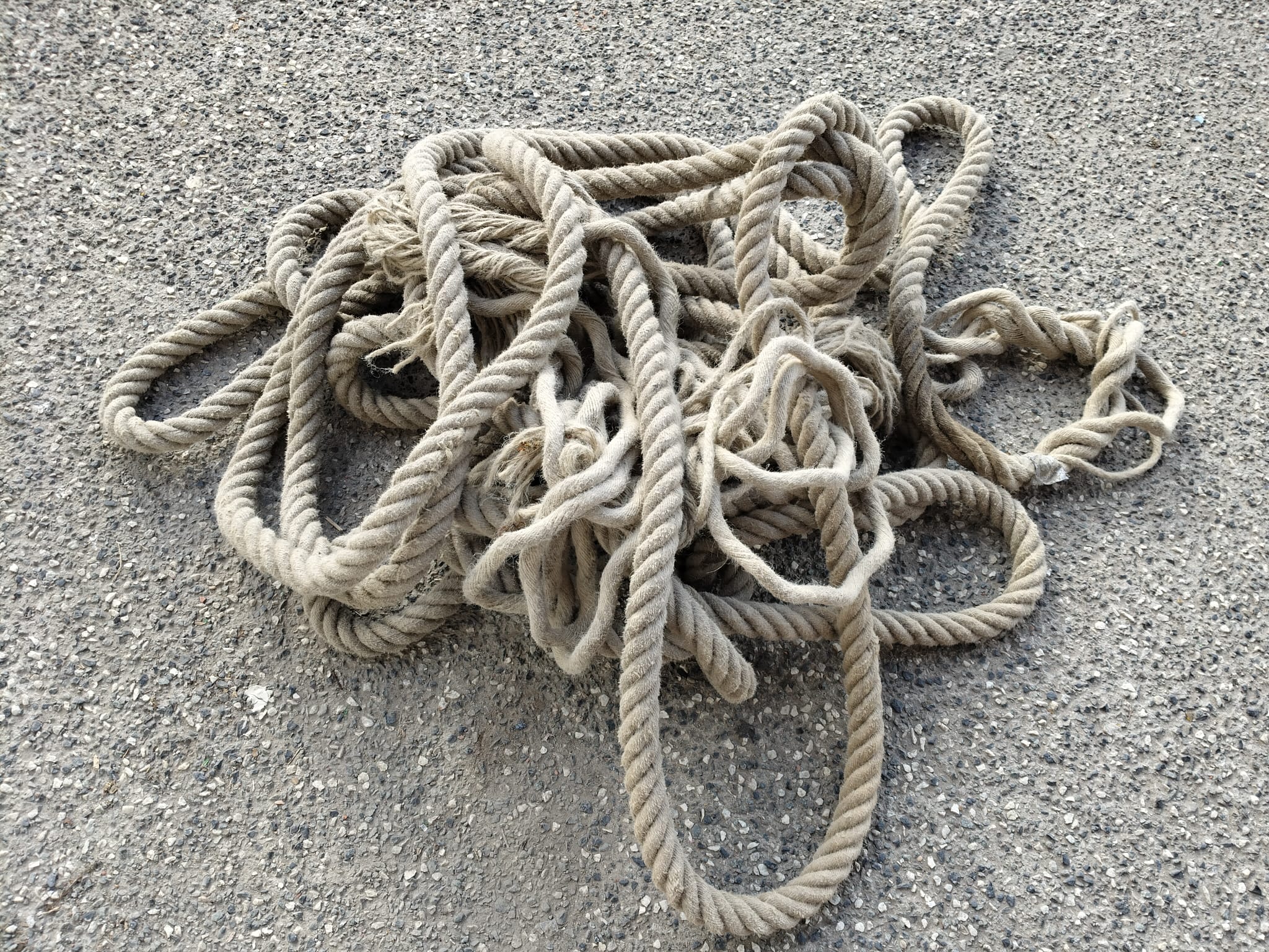foto kommel
